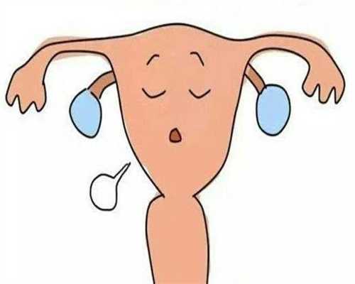 石家庄高龄备孕必看？39岁试管供卵助孕指南