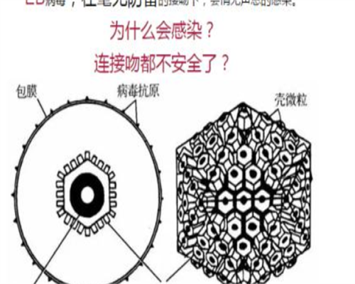 不孕不育的表现
